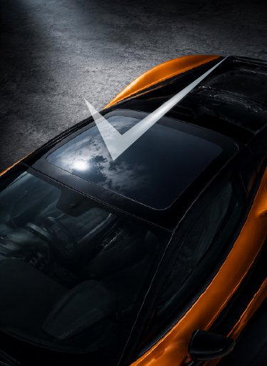 Panoramic Roof Protection